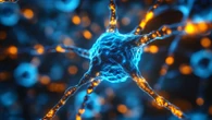 Biomedical engineers grow whole-brain organoid