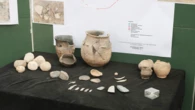 Neolithic moms decorated baby carriers with dog teeth