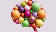 Why some memories stick while others fade