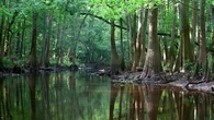 This National Park uses a ‘Skeeter Meter’ to inform visitors about mosquitoes