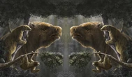 8,000-pound sloths once roamed North America. Where’d they go?