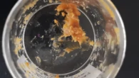 Scientists think this orange goo is 2,500-year-old honey