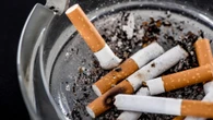 Recycled cigarette butts can make roads more durable