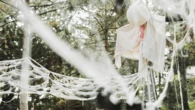 Beware! Your Halloween decorations could be a nightmare for wildlife