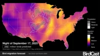 262 million birds forecast to take to the skies tonight