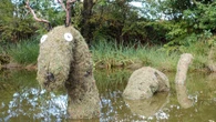 The Loch Ness Monster’s body is a ‘zoological impossibility’