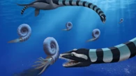 ‘Very odd’ 40-foot-long marine reptile stalked prehistoric Canada