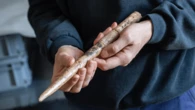 Oldest-known whale bone tools discovered in a Spanish cave