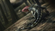 Amateur paleontologists uncover earliest known ‘reptile’ footprints