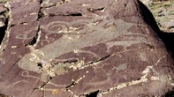 Why ancient people in Mongolia depicted elks as wolfish monsters