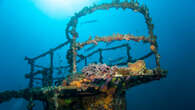 Not all underwater reefs are made of coral