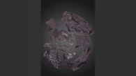 Oldest known fossilized reptile skin was dug up in an Oklahoma quarry