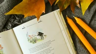   Huit livres jeunesse pour s’émerveiller de la nature en automne à hauteur d’enfant  