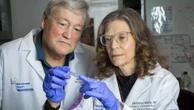 Easier way to diagnose endometriosis tested