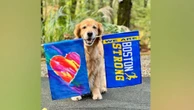 Dog who cheered Boston Marathon runners dies