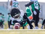 Roughriders training camp: Green and White Day set for Saskatoon