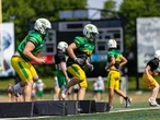 What you should know about the Institute of Saskatchewan Football
