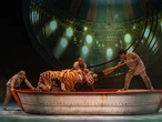 Review: Citadel's Life of Pi a fantastical story brought to life