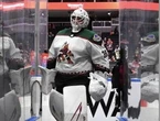 'Do the right thing Oilers': Oil country in an uproar, hoping Edmonton will claim veteran goalie on waivers
