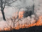 Water bombers, firefighters battle wildfire in Kawartha Lakes