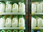 Is whole milk really unhealthy? Why RFK Jr. promotes full-fat dairy.