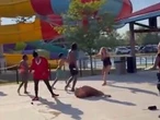 Women attacked by group at Brampton water park while kids watched