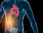You haven't heard of CKM syndrome -- but you likely have it