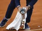 On a wing and a prayer, a pigeon is rescued by a French Open chair umpire during a match