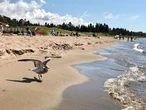 Ontario’s Manitoulin is bursting with attractions