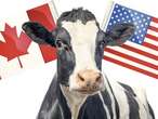 LILLEY UNLEASHED: Does Canada's dairy deal hurt negotiations over Trump's tariffs?