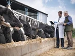 EDITORIAL: Cowed by the dairy industry?