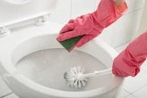 The completely correct guide to cleaning your toilet