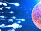 Alabama lawmakers would define man and woman based on sperm and ova