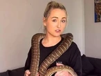 OUCH: Porn star's pet python bites partner's penis