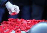 WARMINGTON: 'Deeply offensive' — Remembrance Day poppy exploited to honour Hamas leader