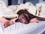 DEAR ABBY: Guests let their dirty dog sleep in the bed