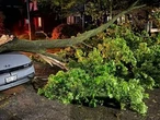 Power outages could stretch into Monday for remote areas of GTA: Hydro One