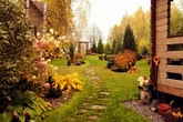The City Gardener: Planning and planting