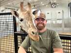 Chiropractor works on giraffe, is nuzzled: ‘Giraffes are just giant dogs?’