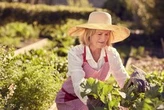 The City Gardener: Let's be careful out there!