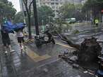 Strongest typhoon since 1949 hits Shanghai and knocks out power to some homes