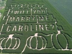 A corny proposal: Farmer pops the question with a custom maze