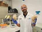 The potential key to upgrading toothpaste? Sheep’s wool and human hair.