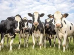 GROCERY BILLS ARE TOO HIGH: Supply management must go!