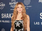 Shakira catches fan trying to film up her dress: 'People are GROSS'