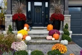 The City Gardener: How to give your fall garden a lift