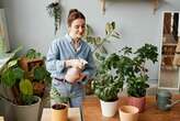 The City Gardener: How not to kill your house plants this winter