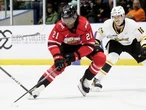 Maple Leafs prospect Harry Nansi’s red-hot start in OHL has coaches taking notice