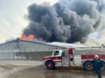 20,000 pigs killed in early morning fire near Simcoe