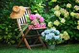 City Gardener: The joys of summer